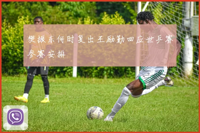 樊振东何时复出王励勤回应世乒赛参赛安排