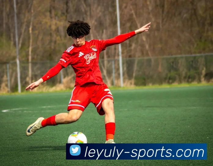 leyu(LEYU)官方授权体育信息服务中心平台生态图