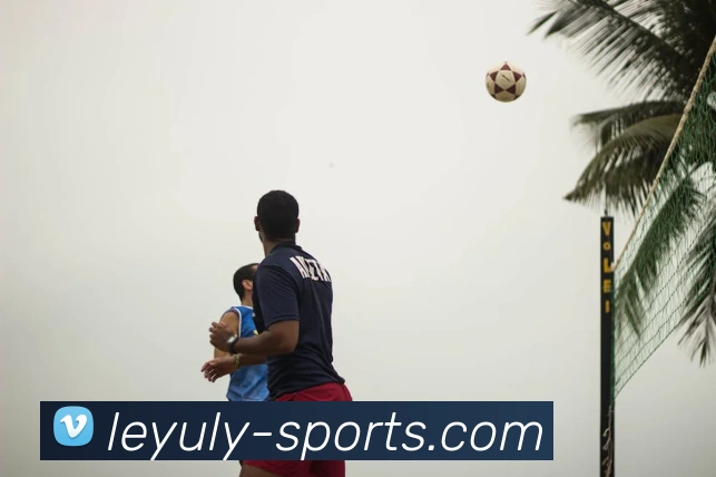 leyu(LEYU)官方授权体育信息服务中心APP 封面图